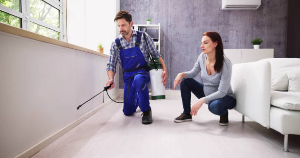 Best Indoor Pest Control  in Stormstown, PA